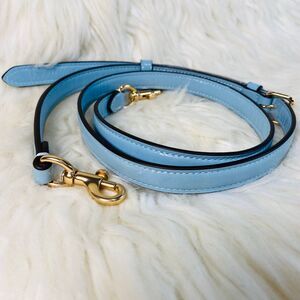 Coach Light Blue Crossbody Replacement Strap
